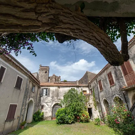 Maison De Curtis Bed & Breakfast Policastro Bussentino